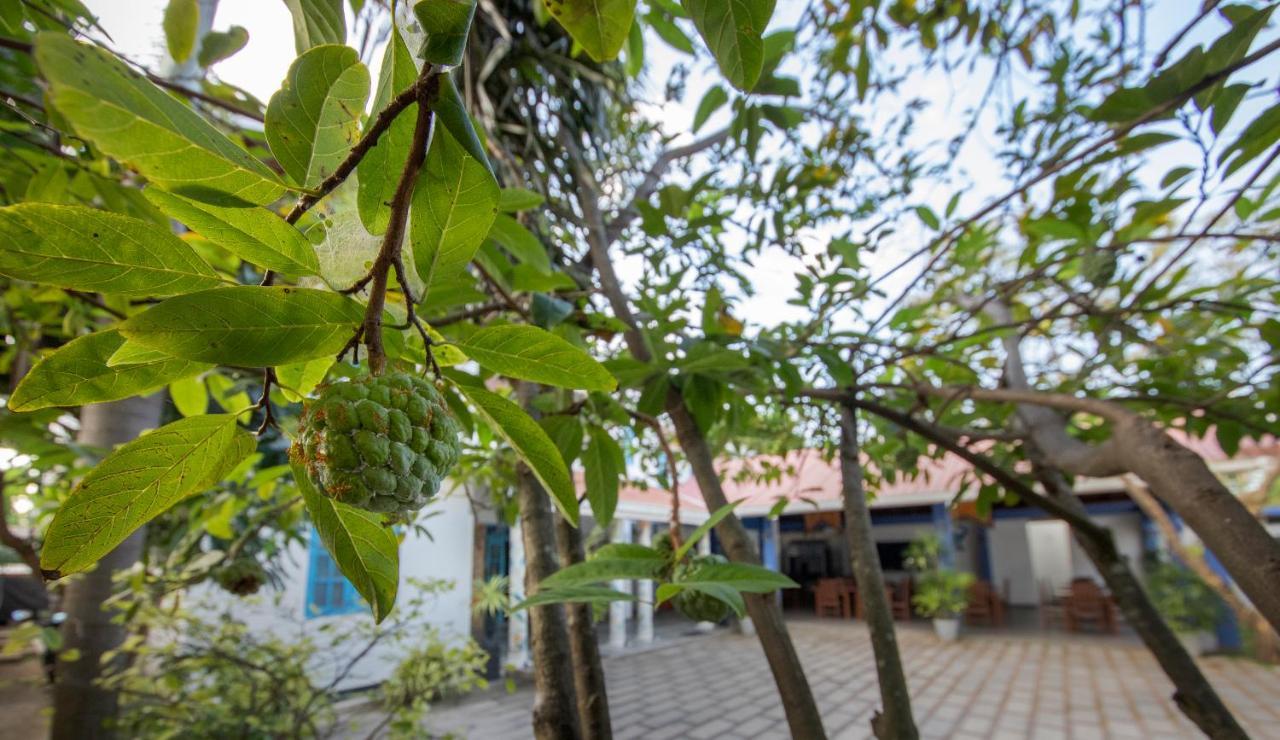 Blue Elephant Boutique Hotel Negombo Exterior photo